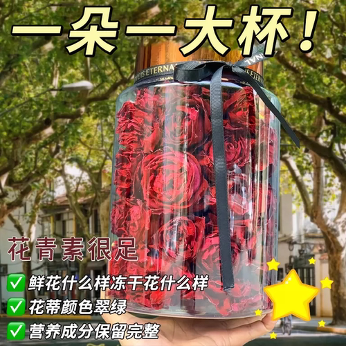 墨红玫瑰10倍泡发一朵一大杯