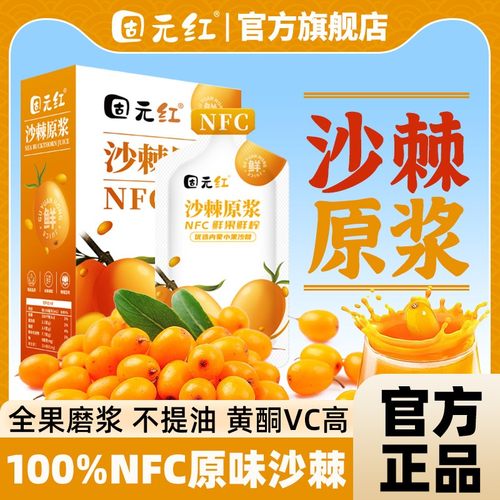 全果磨浆不提油籽NFC沙棘原浆