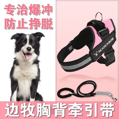 边牧专用狗狗前扣式防爆冲胸背带牵引绳背心式可爱幼犬遛狗绳子