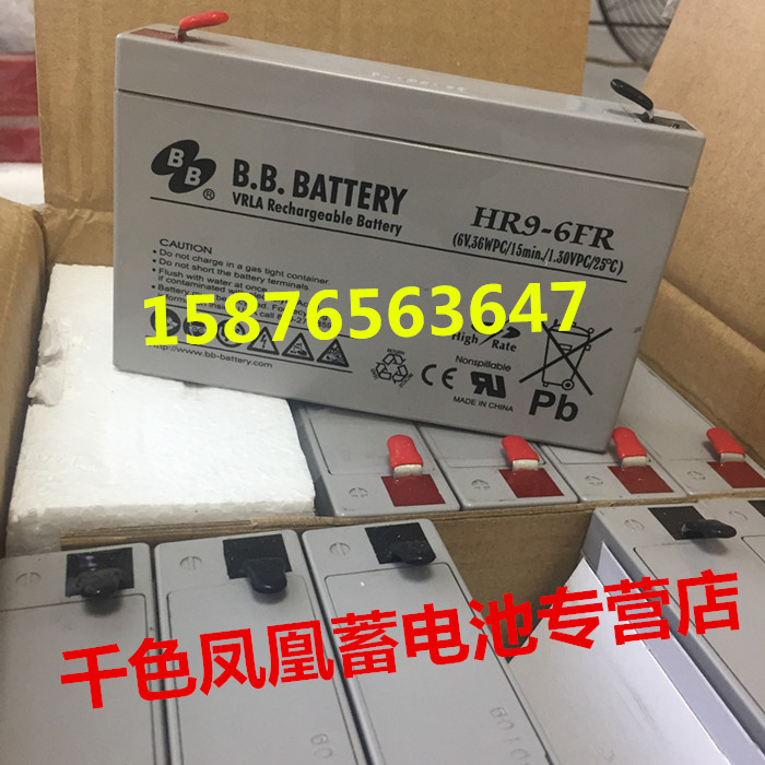 EMC服务器蓄电池B.B.BATTERY HR9-6FR 6V36W华为中兴存储电源电池