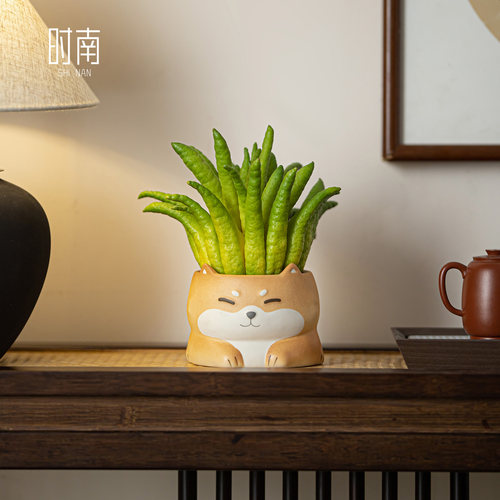 时南手绘高颜值佛手柑可水养托盘
