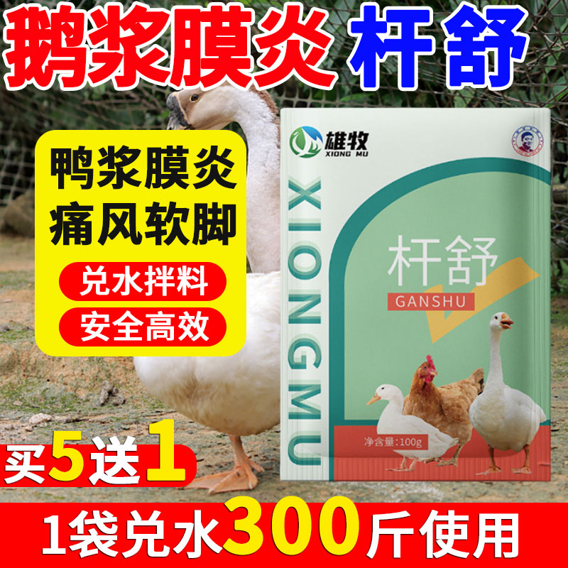 雄牧杆舒正品鸡鸭鹅浆膜炎专用包心包肝痛风软腿肠炎拉稀白痢糊肛