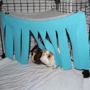 Cage Hideout Pet Nest Hamster Tent AccessoriesK 极速Hammock