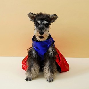 极速跨境dog宠物法斗泰迪柯基雪纳瑞比熊小狗万圣V节秋冬季 衣服批