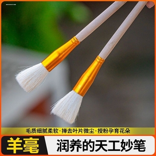 人工授粉笔授粉器草莓多肉西红柿无花果树授粉神器花粉点花授粉刷