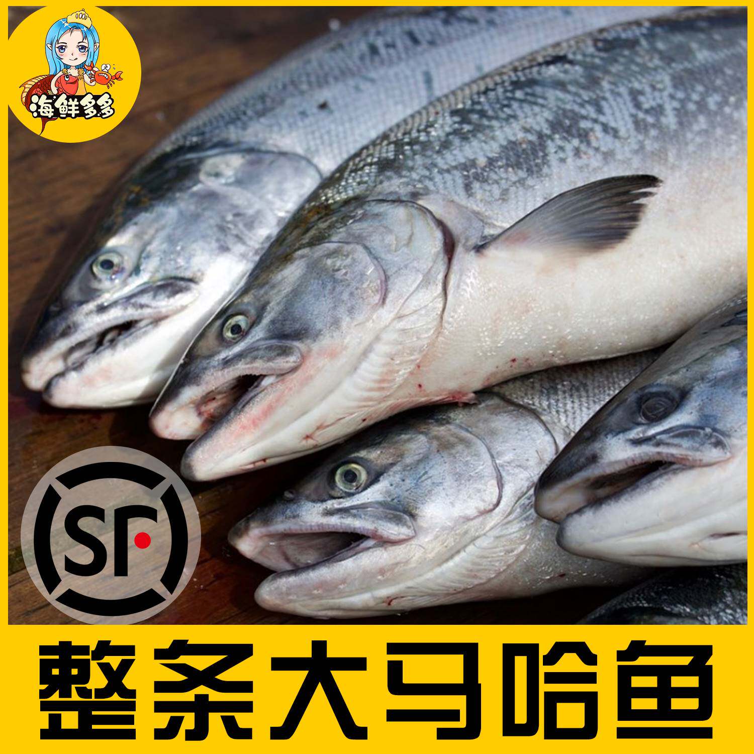 大马哈鱼淡水鱼国产乌苏里江黑龙江佳木斯抚远县特产冷冻整条