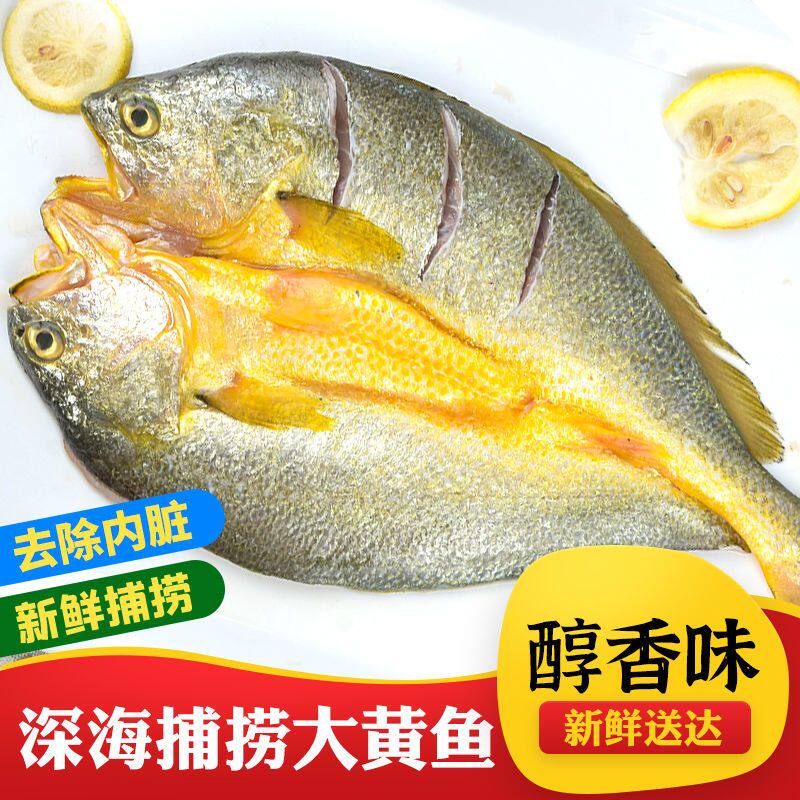 特产醇香黄鱼鲞新鲜东海海鲜