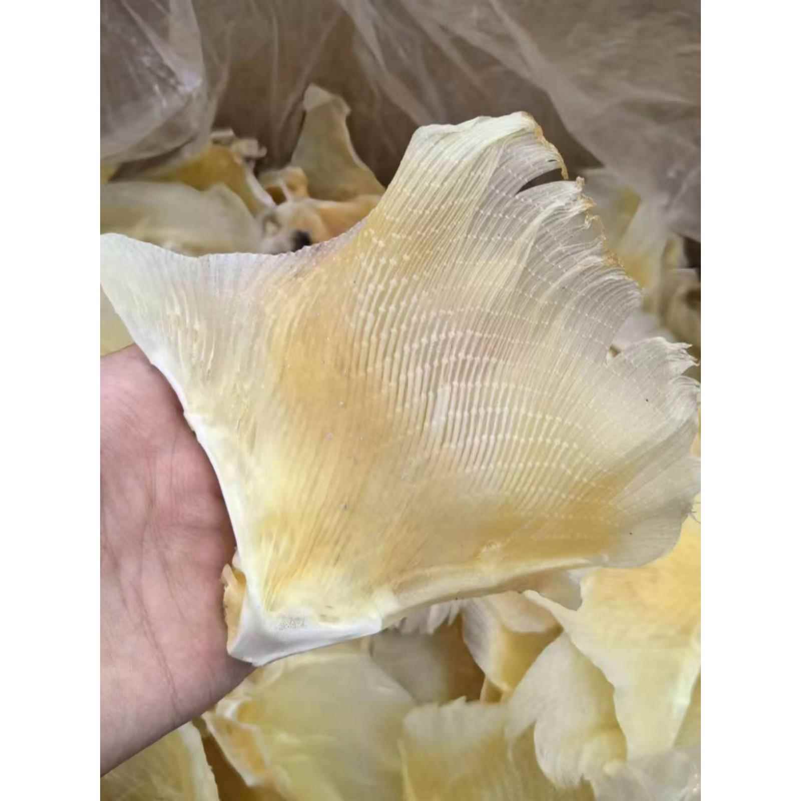 渔民正宗天星边翅浦鱼海狗翅鳐渔翅海产干货无添加海鲜煲汤烤翅