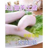 新鲜猪短尾短猪尾巴冷鲜带皮去毛新鲜猪尾卤味生鲜食材