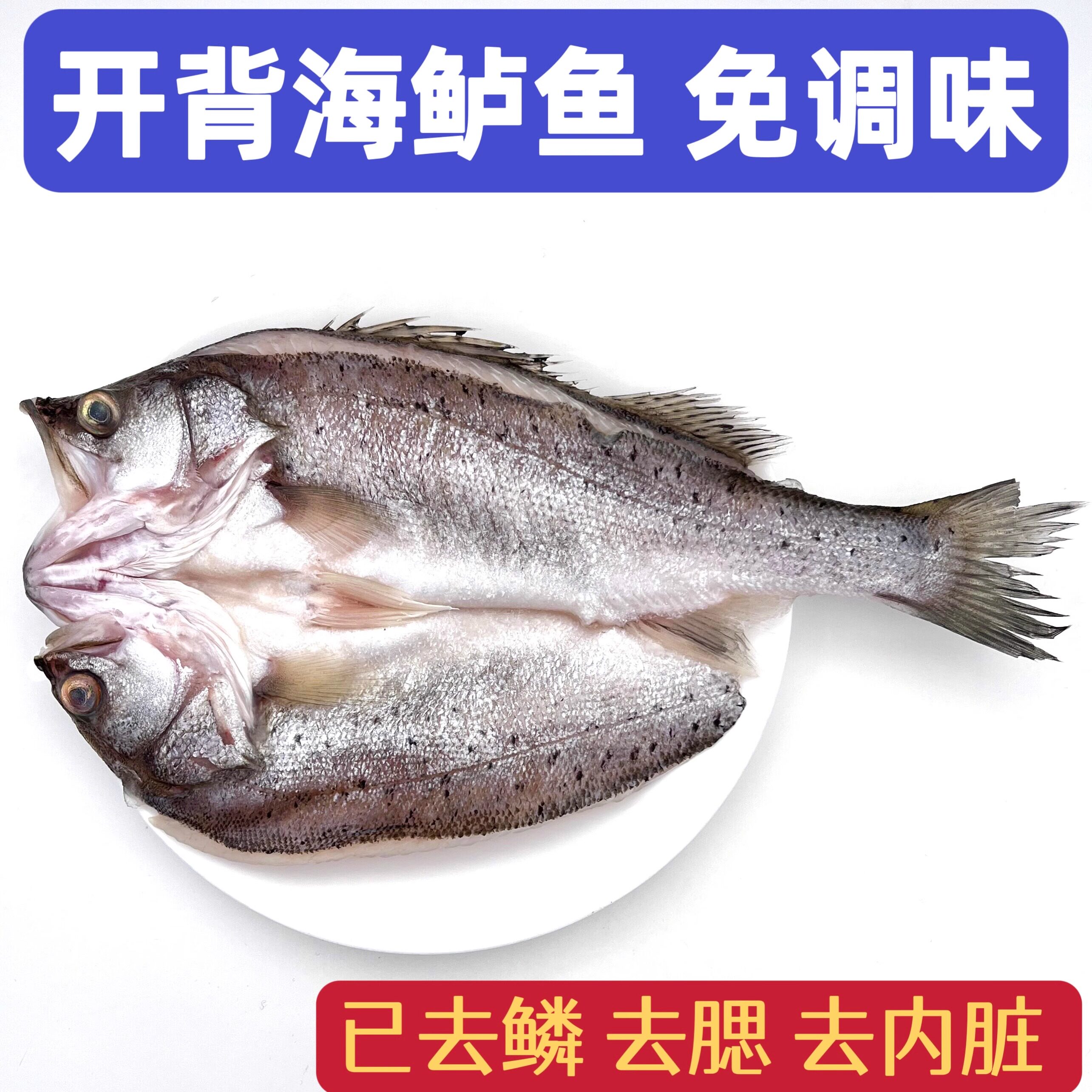海鲈鱼开背去内脏鲜活新鲜冷冻