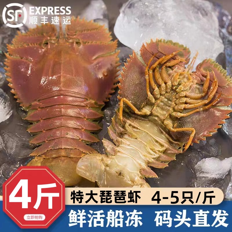 野生海捕琵琶虾鲜活冷冻海虾特大九齿扇虾超大海鲜姑虾海虾3斤装