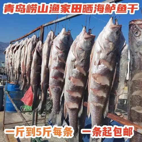 青岛崂山王哥庄渔家田晒淡干海鲈鱼干2到8斤每条一条起包邮