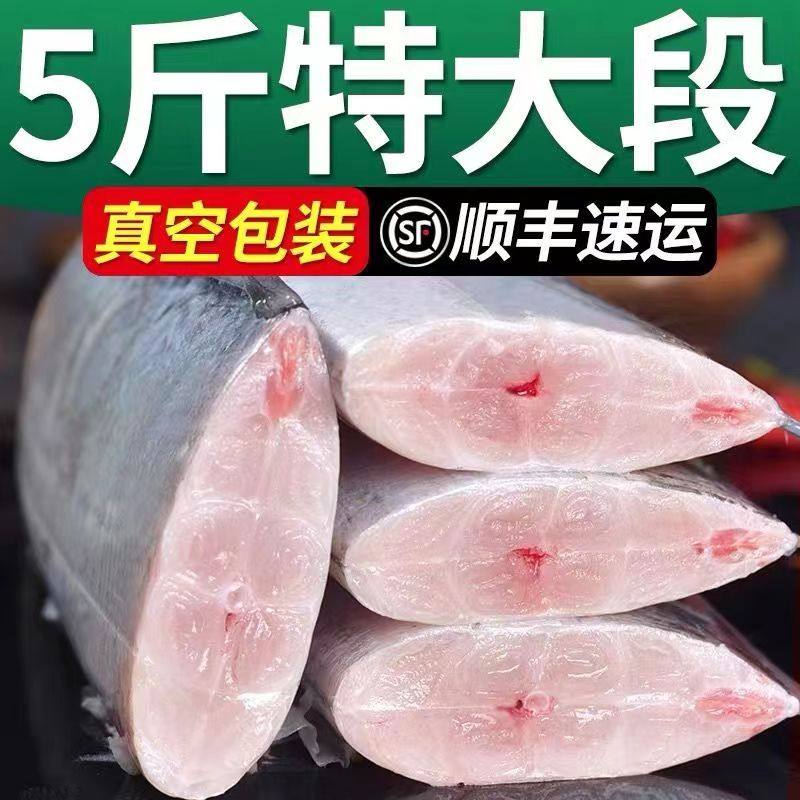 东海小眼油带鱼中段冷冻整箱