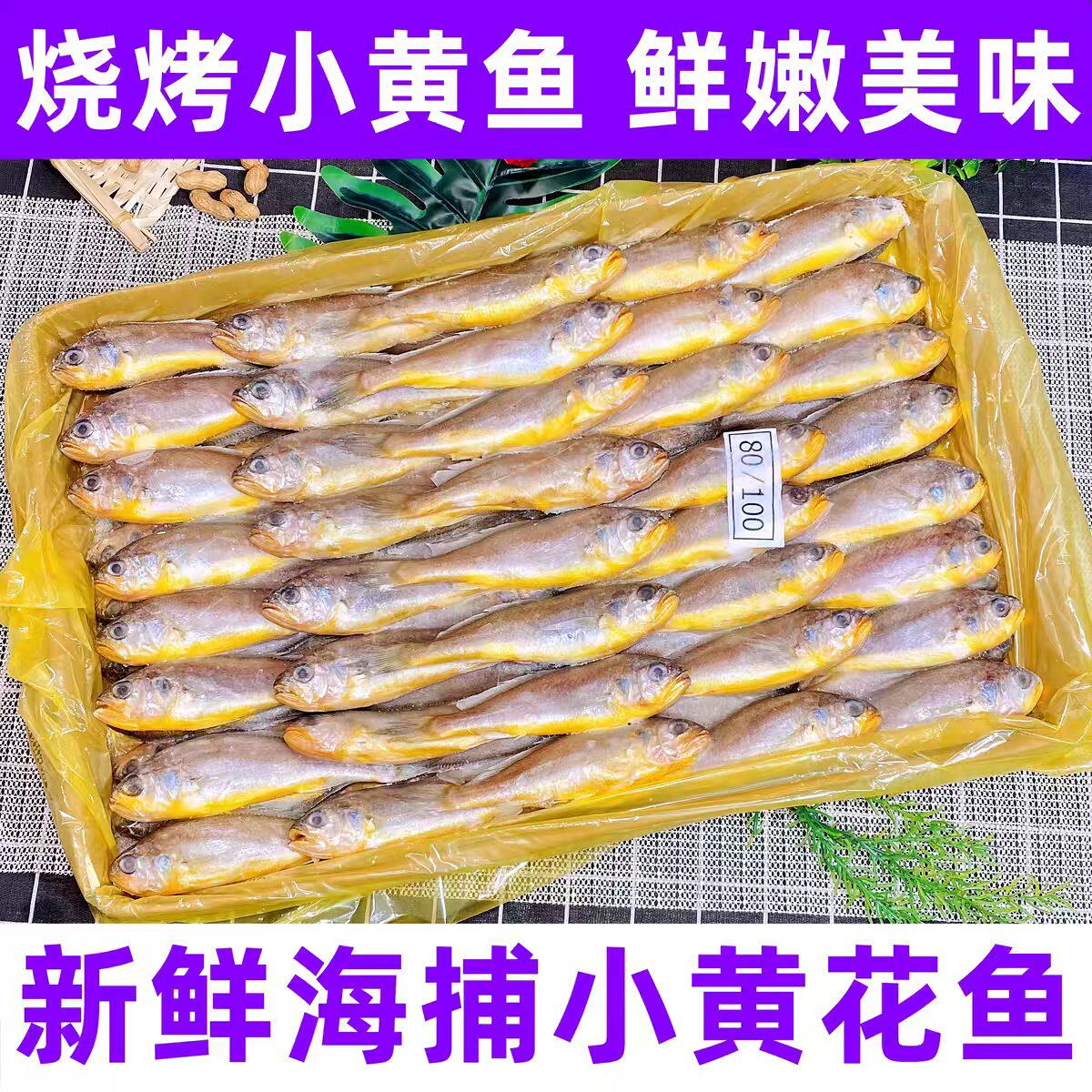 冷冻小黄鱼烧烤小黄鱼东海黄花鱼烧烤黄花鱼小黄鱼商用新鲜鱼75条
