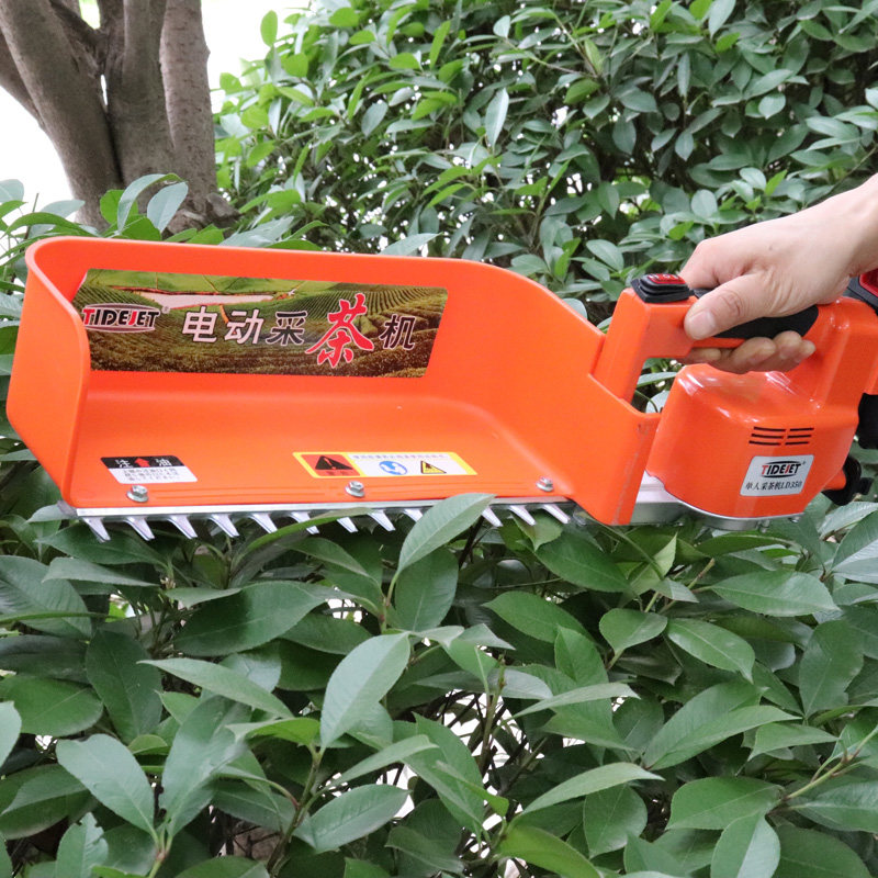 安腾一郎无刷电动采茶机单人小型茶叶采摘机锂电茶叶收割机厂家