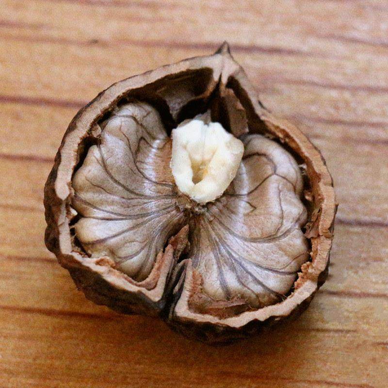 云南老品种厚皮核桃孕妇坚果原味四方果手剥黑桃无漂白生核桃带壳,零食/坚果/特产,纸皮/薄皮核桃,淘宝优惠券,粉丝福利购,淘宝优惠卷