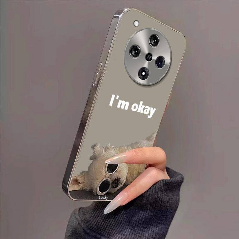 OPPOFindX系列手机壳电镀镜面ins