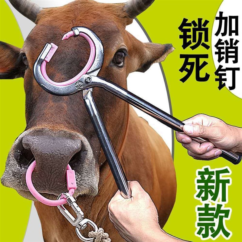牛鼻环牛鼻圈牛鼻子牵q引扣牛用养殖安装钳打孔器械穿孔针牛鼻钳