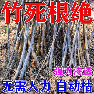 灭竹子的b药竹根连根烂灭根粉树粉荒地除杂草专用环秦酮除草一扫
