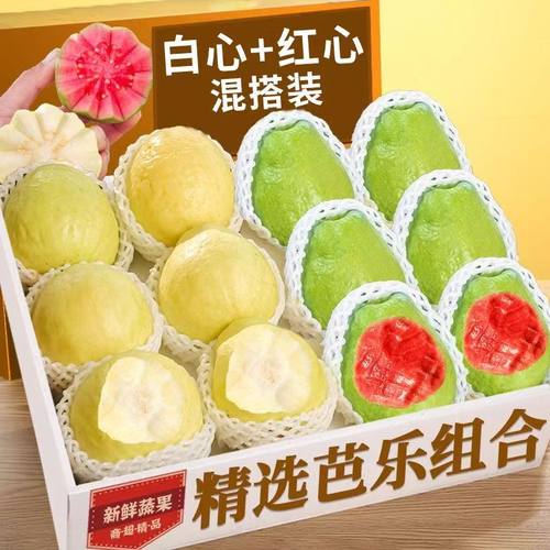 奶油芭乐白心红心组合双重体验