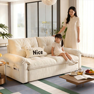 奶油风沙发小户型公寓高级感双人小尺寸可拆洗雪尼尔布艺小沙发