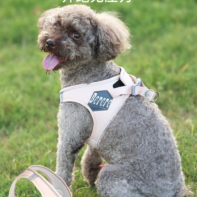 BORORO狗狗胸背带遛狗绳子防挣脱背心式中小型犬宠物牵引绳子狗链