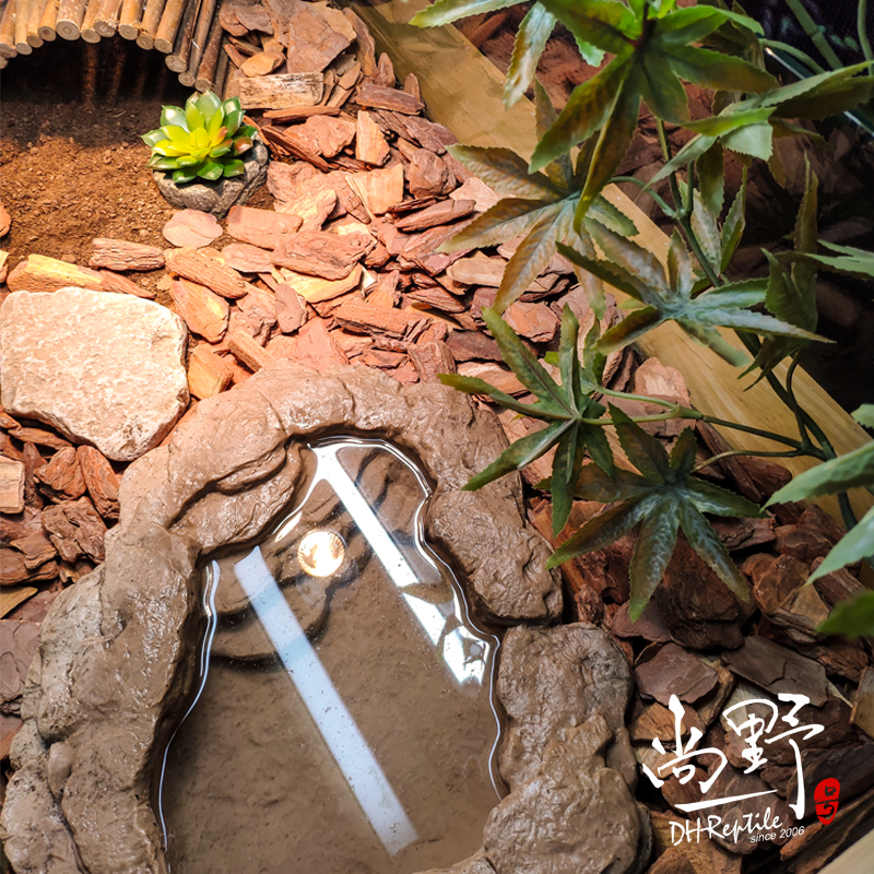 半水龟饲养环境套餐景观缸黄缘龟箱乌龟半水饲养箱玻璃缸饲养套装