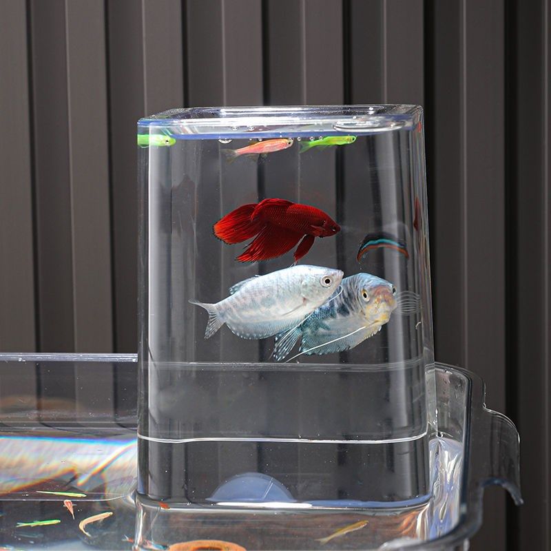 负压鱼缸观赏金鱼斗鱼缸家用乌龟缸透明生态造景缸水草客厅水族箱,宠物/宠物食品及用品,桌面缸,淘宝优惠券,粉丝福利购,淘宝优惠卷