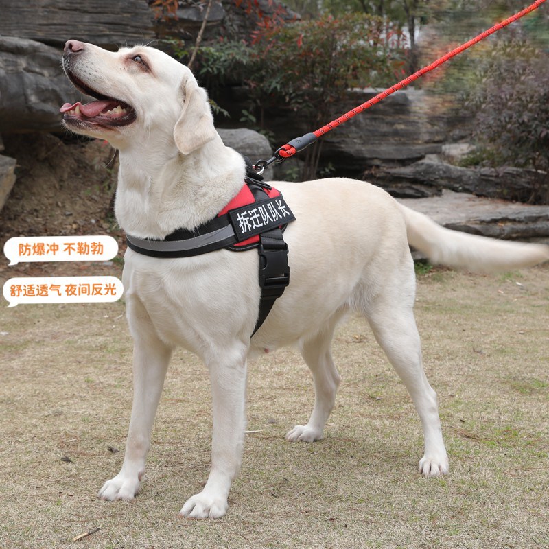 狗牵引绳个性狗胸背防挣脱大型犬外出防爆背心式背带夜间反光狗绳