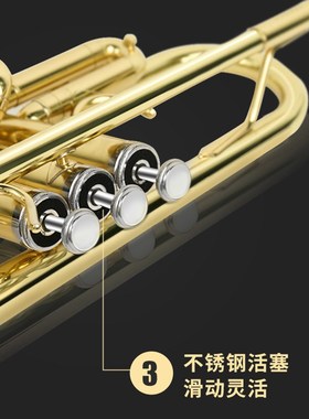 津宝小号乐器JBTR-300降B调初学者通用黄铜小号军乐队学校管乐队