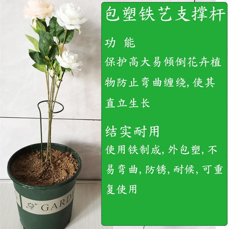 花卉朱顶红花架植物防倒伏支架铁艺绣球吊兰爬藤支撑杆园艺固定架