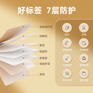 文件管理标签纸 B3S Z401 不乾胶影印纸档案文 B32 精臣B21