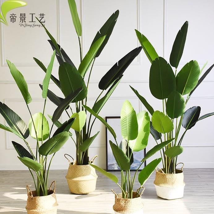 北欧创意家居仿真旅人蕉装饰植物天堂鸟落地花卉景观绿植盆栽摆件