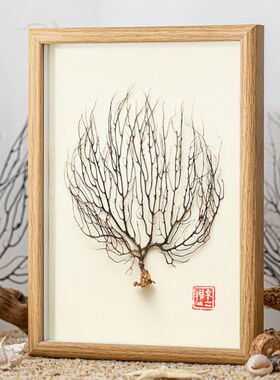 天然海树枝dfiy制作标本挂画手工艺品摆件相框家居创意装饰制品