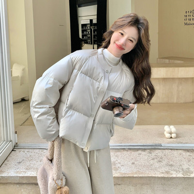 女装/女士精品羽绒服其他/other休闲风白鸭绒2025年冬季常规常规