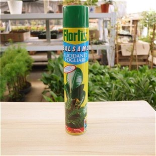 亮光叶面清洁植物喷剂保鲜叶面光亮剂营养剂花卉增绿植物肥液体