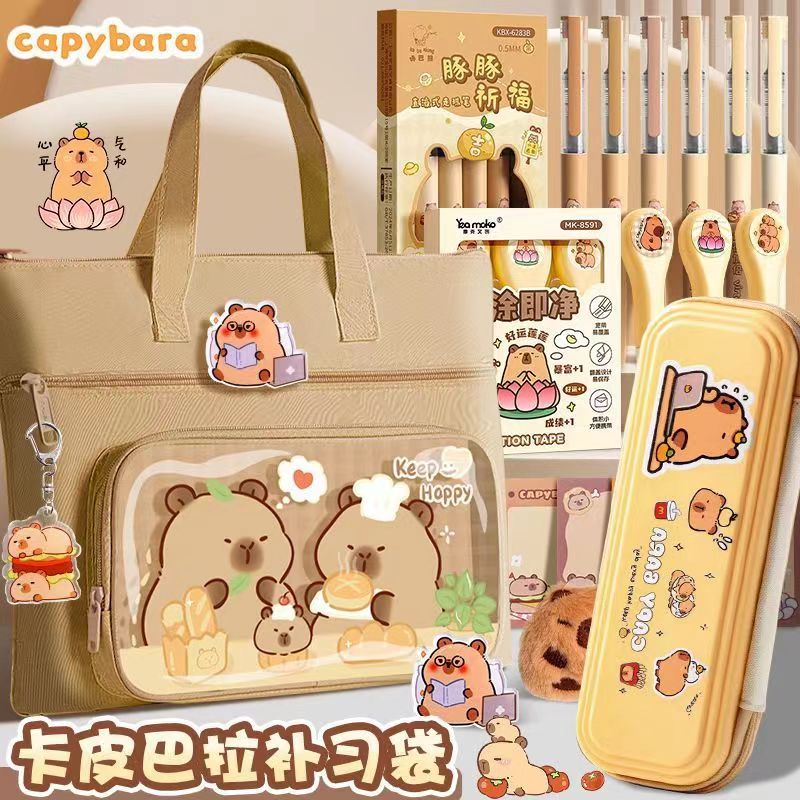 儿童补习袋手提拎书袋小学生帆布包大容量一年级高颜值防水带拉链