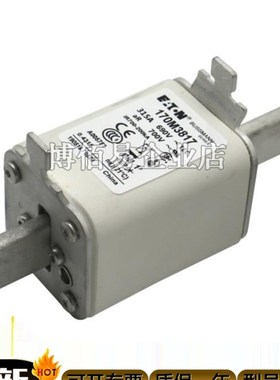 巴斯曼快速熔断器保险i170M4069/5058/5059/5060/5061/5062/5063