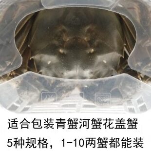 大闸蟹塑料盒礼品盒装螃蟹的礼品盒子蟹包装礼盒大闸蟹礼盒包装盒