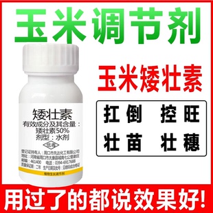 玉米矮壮素植物生长调节剂控旺防倒伏红薯小麦地下地上农用调节剂