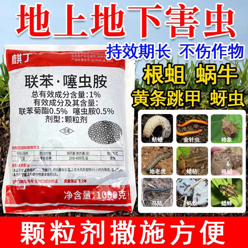 联苯噻虫胺撒施型防虫颗粒剂蔬菜地上地下害虫杀虫药农用杀虫药