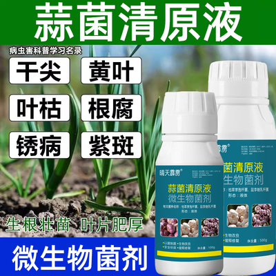 蒜菌清大蒜农用药干尖黄叶锈斑霜霉病根腐杀菌抗菌微生物菌剂