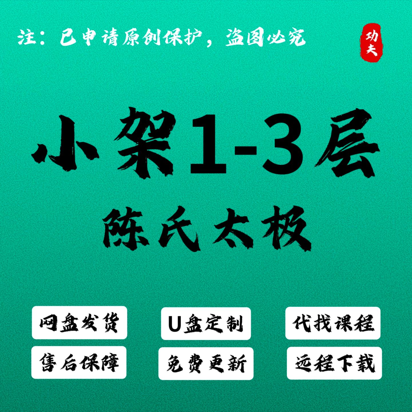 陈氏太极小架111节视频课程一刻录盘个性化服务