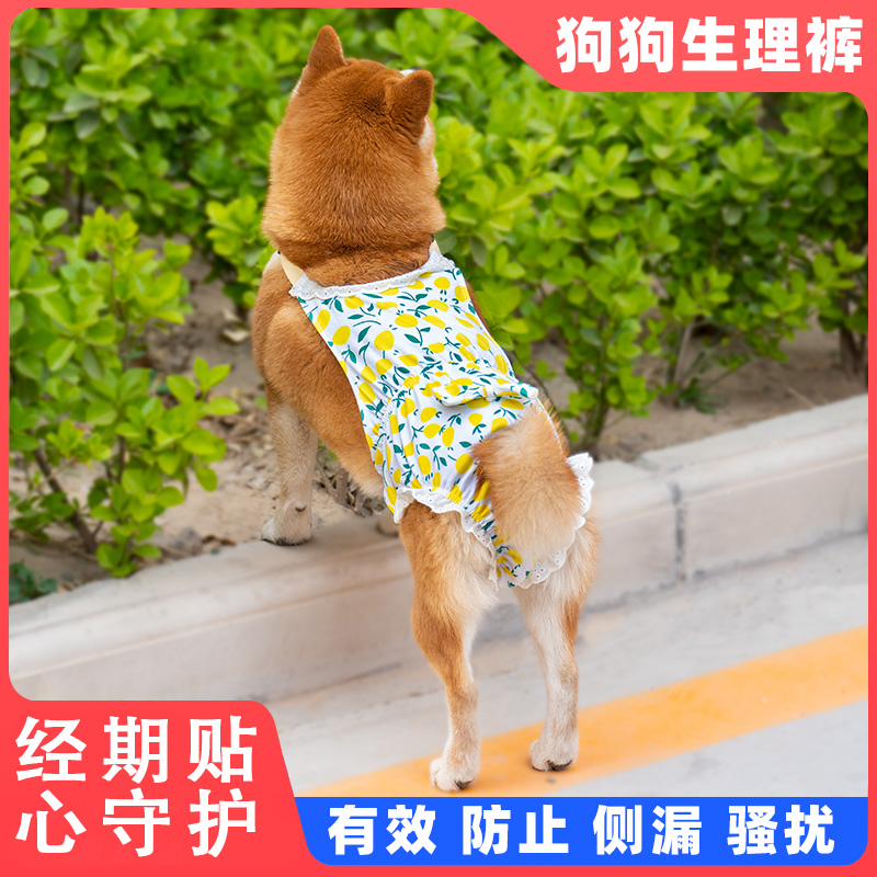 宠物狗狗生理裤母狗专用