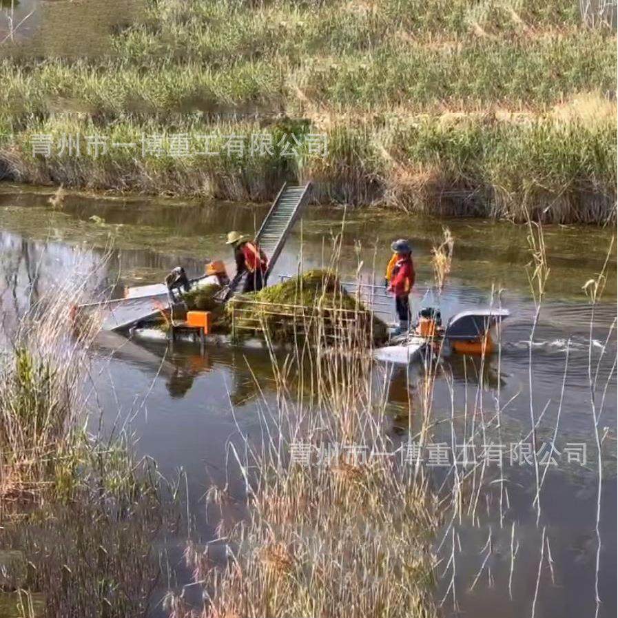 虾蟹池塘小型水草收割机安装便捷操作简单割草船,农机/农具/农膜,收割机械,淘宝优惠券,粉丝福利购,淘宝优惠卷