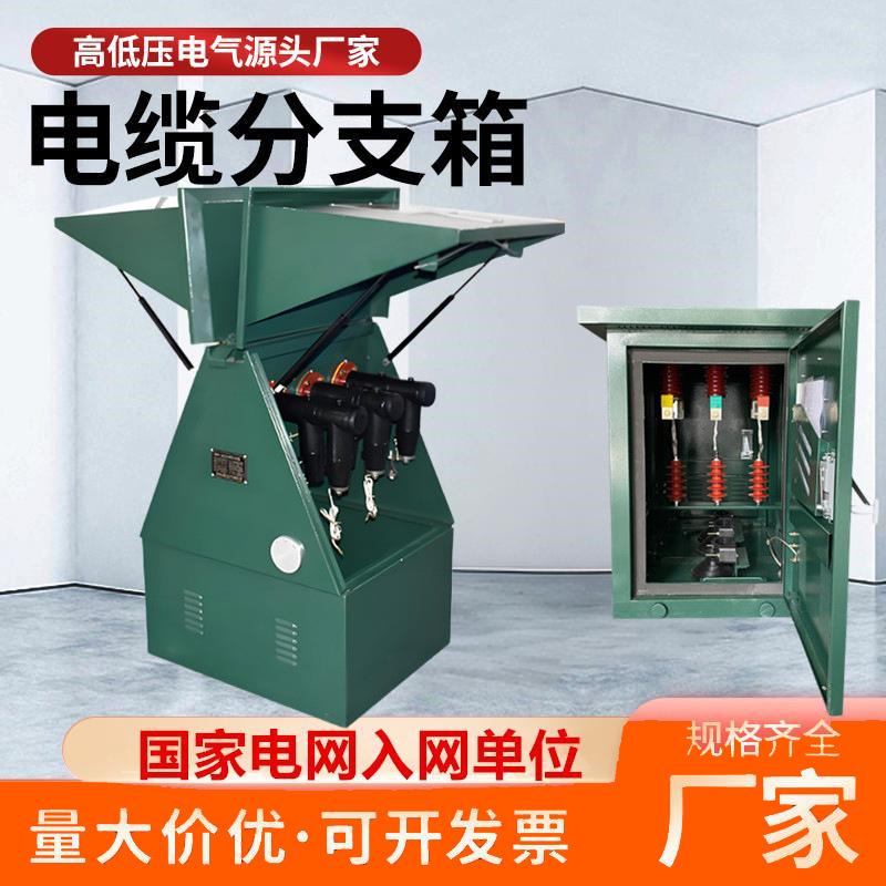 10KV欧式电缆分支箱20/35KV一进三五出户外高压不锈钢铜排对接箱