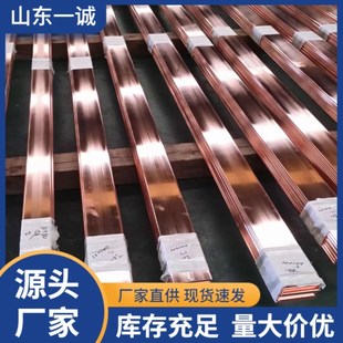 T2紫銅排 6mm 接地用鍍錫v純銅排 銅母線
