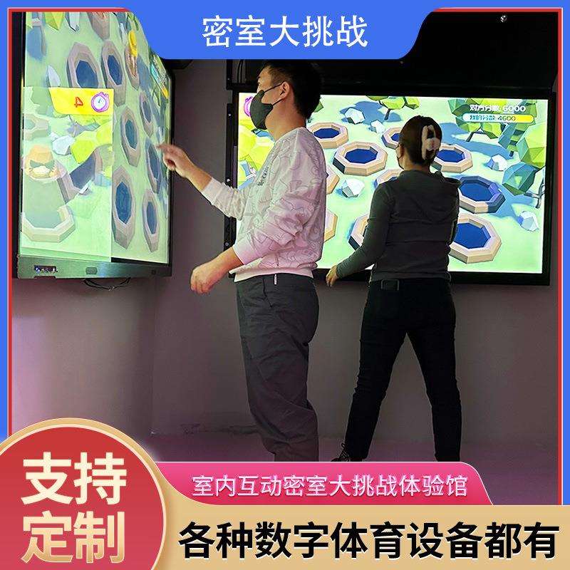 数字运动双人双屏幕触摸大屏室内模拟体验馆娱乐设备大型商用互动