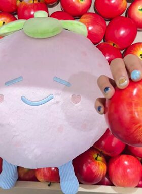 super junior market超市快闪抱枕李东海可爱毛绒抱枕送礼物