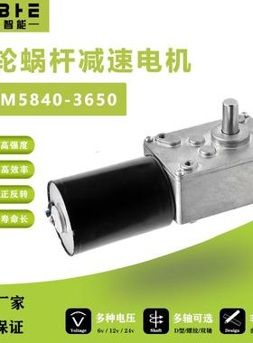 5840-3650无刷直流减速电机12伏24V蜗轮蜗杆自锁微小型可调速马达